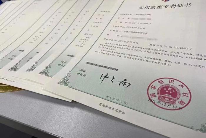 怎么查侵权产品（专利驳回是什么）