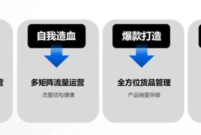 广州大麦电商电子商务公司 公司网上商城想找一个公司代运营,找什么样的公司比较好