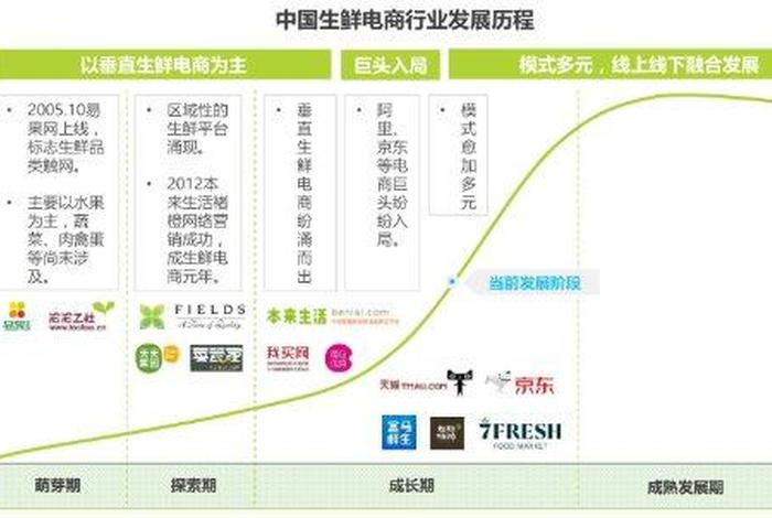 食品电商的营销模式，如何通过电子商务来运作销售生鲜食品