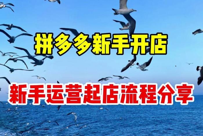 拼多多怎么开店运营课程；拼多多开店全流程和实操教程,新手从0到1起爆店铺!(附开店干货+工具)