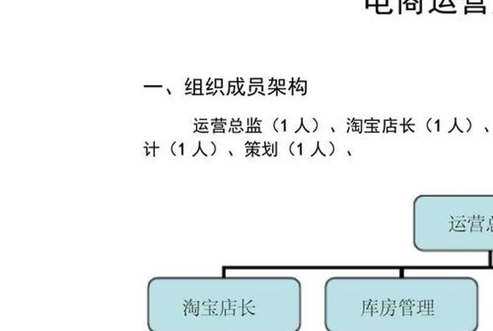 国内电商运营推广，电商平台的推广及运营思路