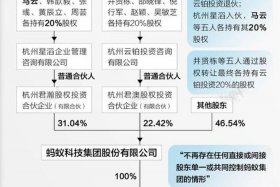 马云占公司的多少股份（支付宝股权结构）