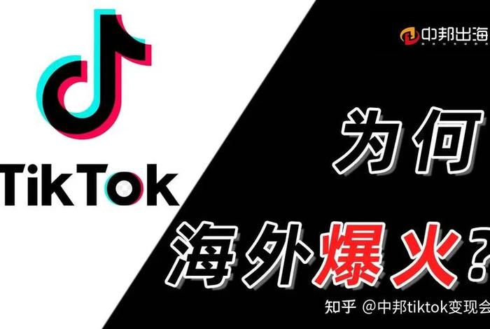 titok跨境电商 TikTok国际抖音跨境电商引流,InCloud云控系统有什么功能