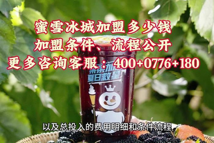 一万左右的加盟店 蜜雪冰城在县城加盟费用多少钱在县城能开吗