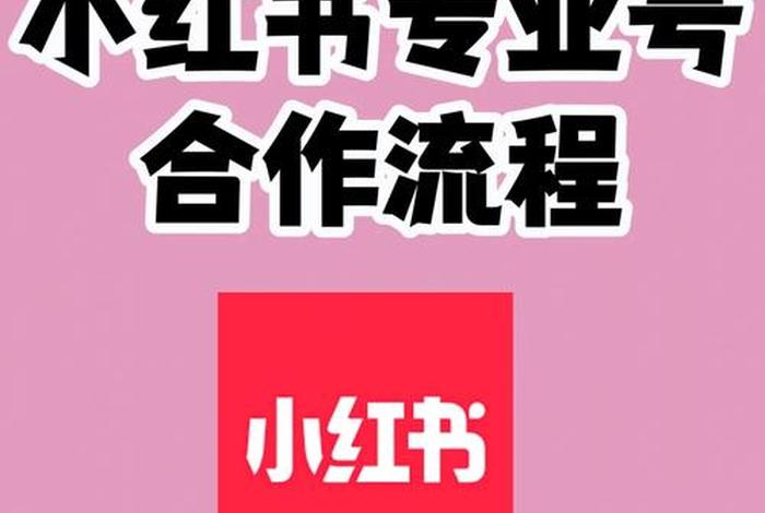 直播代运营公司服务产品 - 小红书代运营服务项目有哪些呢