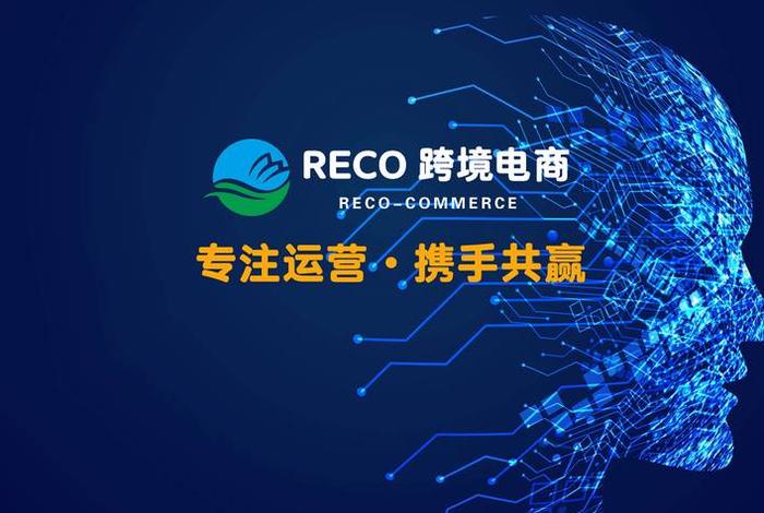 深圳亚马逊代运营公司、深圳亚马逊运营是做什么的