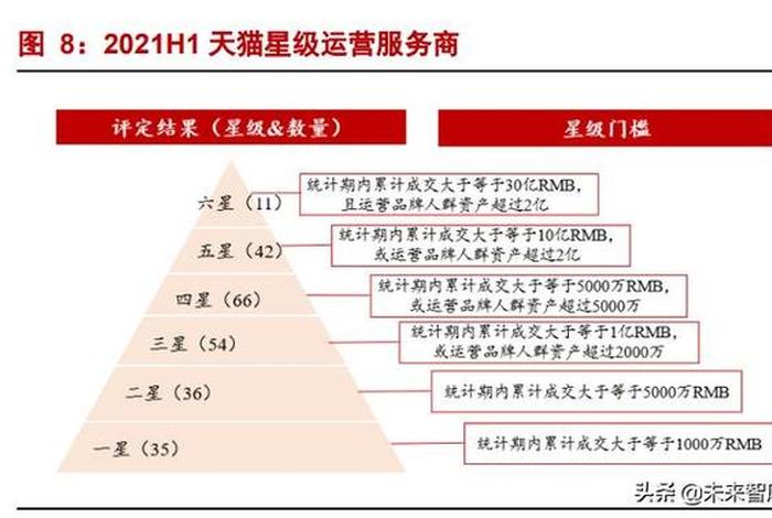 国内代运 国内代运营公司面向国外的有哪些