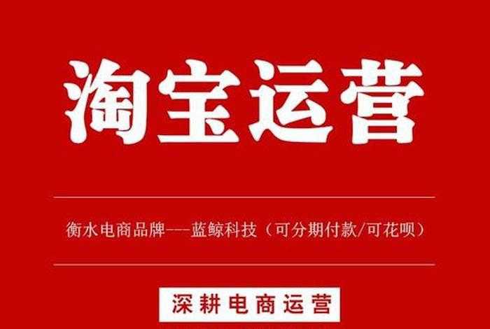 海南淘宝电商运营团队 - 海纳淘宝电商运营