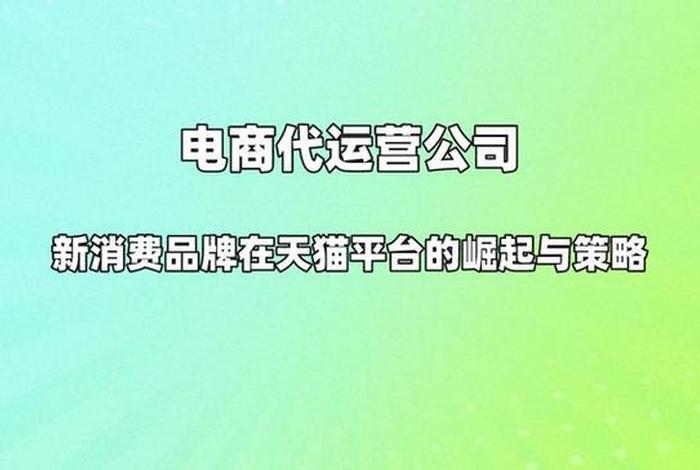 上海代运营电商公司联恩、上海国内前10电商代运营公司