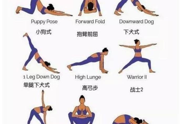 零基础怎么练瑜伽，零基础学瑜伽入门教程