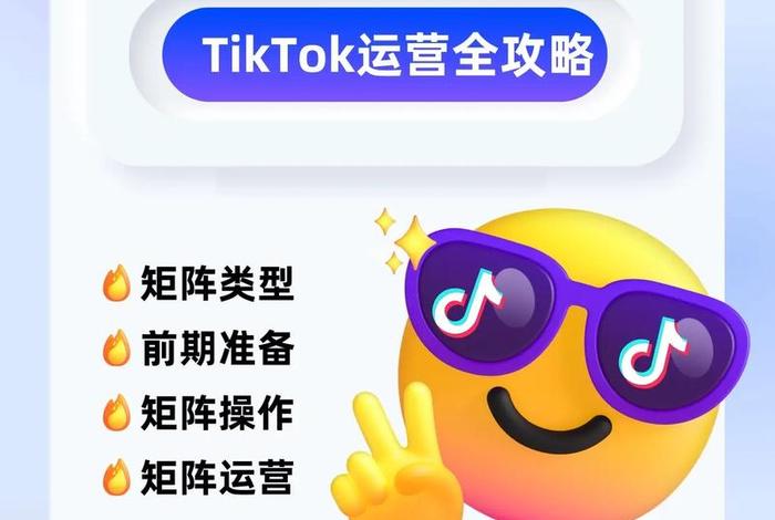 tiktok跨境电商真的赚钱吗交税（tiktok 电商）