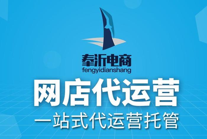 上海网店代运营（上海代运营电商公司）