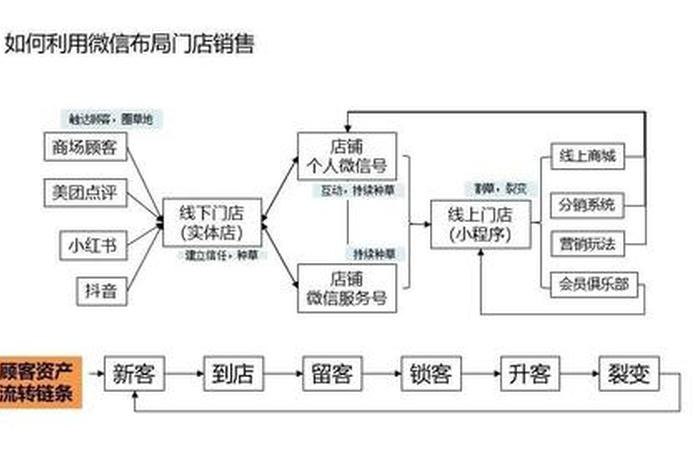 想做电商怎么入手猫课 猫课电商作战地图