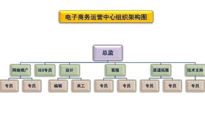 代运营公司运营部门架构（代运营公司运营部门架构怎么写）