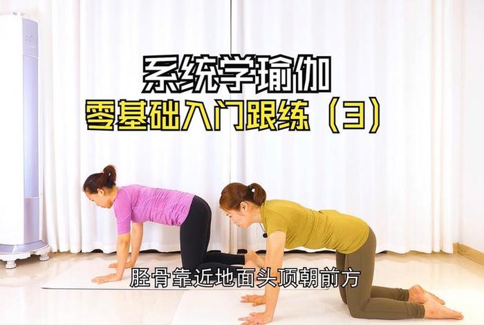 零基础怎么练瑜伽，零基础学瑜伽入门教程
