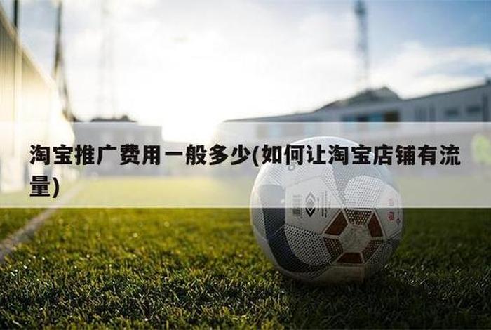 淘宝店铺推广费用多少钱；淘宝店铺推广费用多少钱合适