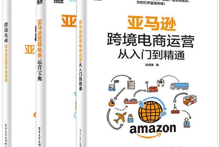 亚马逊跨境电商运营与广告实战 pdf；亚马逊跨境电商运营与广告实战 下载