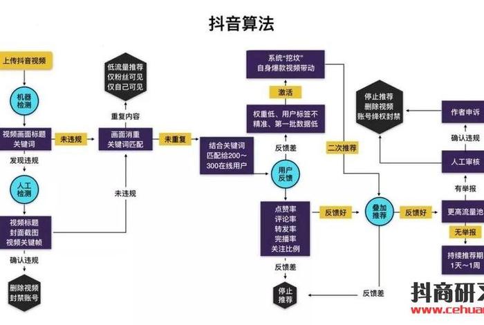 店铺抖音号运营；店铺抖音运营怎么做