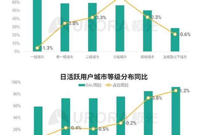 拼多多运营怎么做数据分析（拼多多运营怎么做数据分析报告）