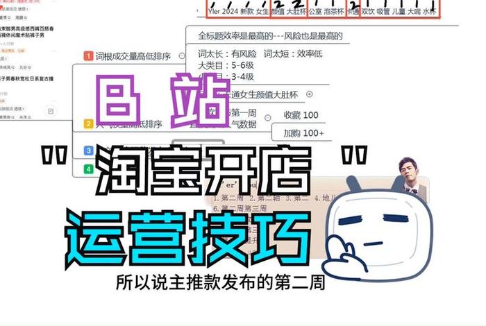 淘宝流量推广哪个好 - 淘宝新店怎么快速做起来