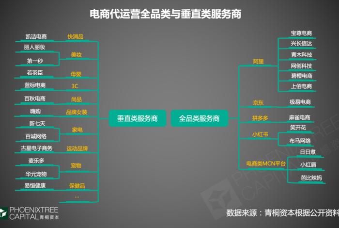 专业电商代运营商是什么，电商代运营模式