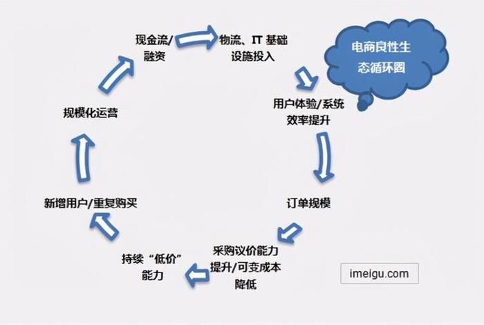 实体店与电商运营模式、实体和电商