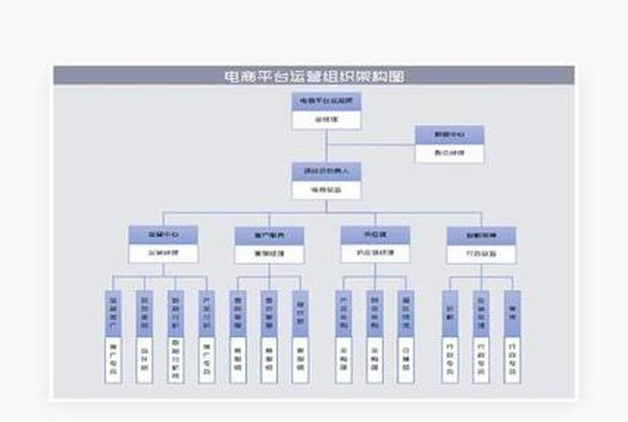 电商运营团队简介，电商运营团队组织架构