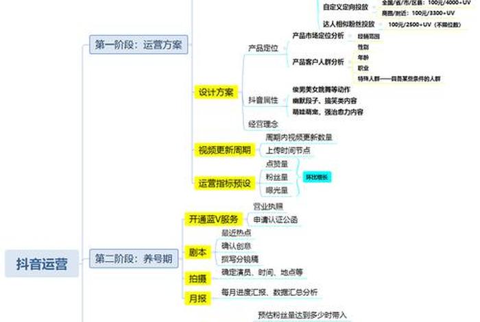 抖音电商运营工作内容是什么（抖音电商运营前景）