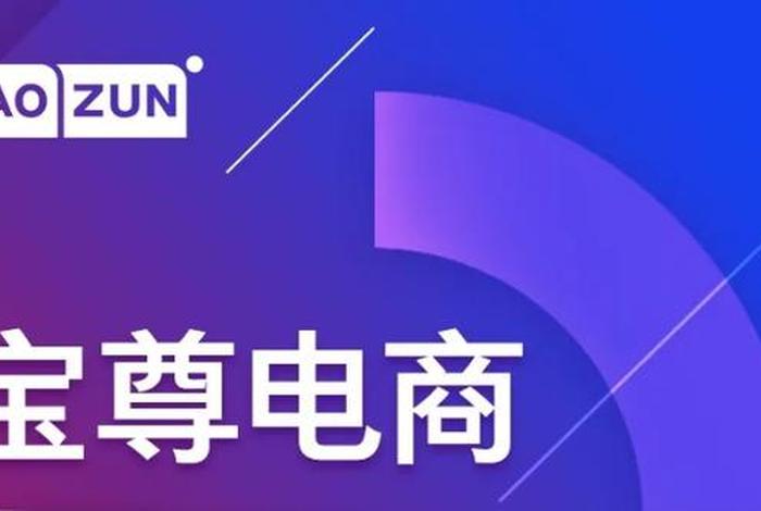 宝尊电商代运营公司如何，宝尊电商官网代运营