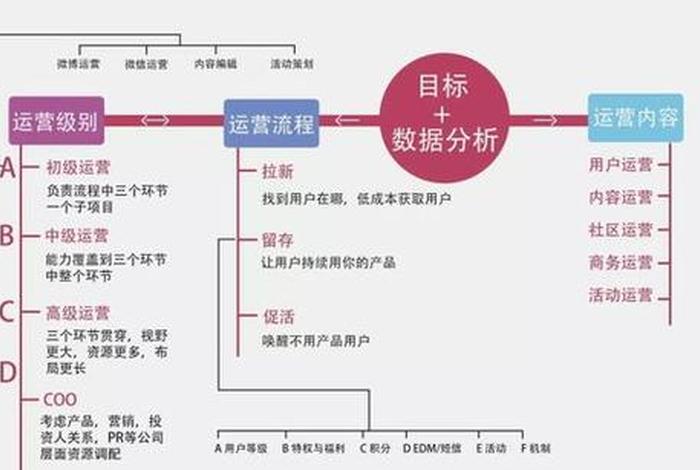 互联网代运营主要做什么、互联网代运营主要做什么的