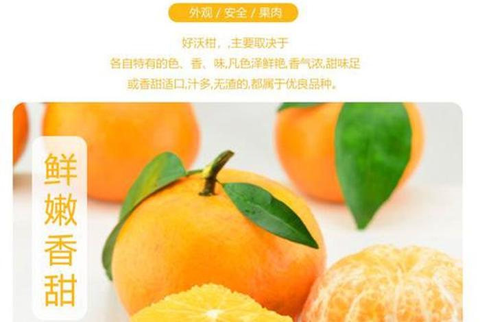 淘宝买沃柑靠谱店铺，淘宝沃柑哪家好