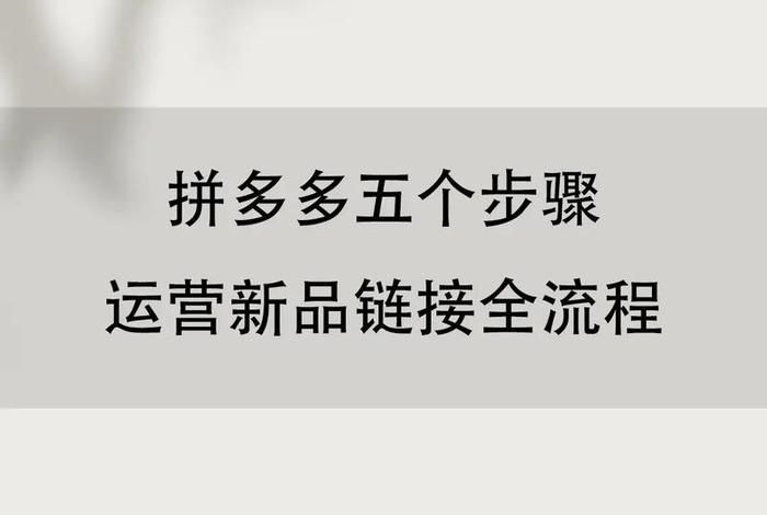 拼多多运营公司哪家正规 - 拼多多找运营公司能做的起来吗？