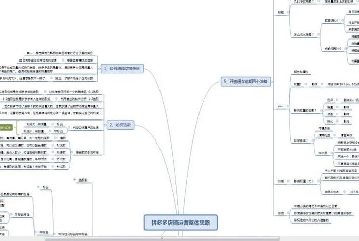 拼多多运营基础知识、拼多多运营基础知识考题