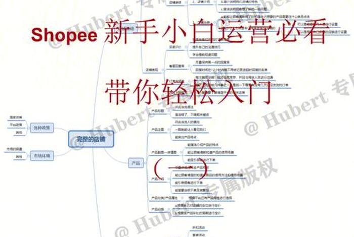 shopee店铺开店流程（shopee开店教程）