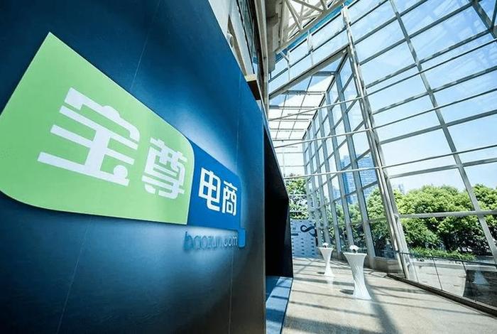 宝尊电商代运营公司如何，宝尊电商官网代运营
