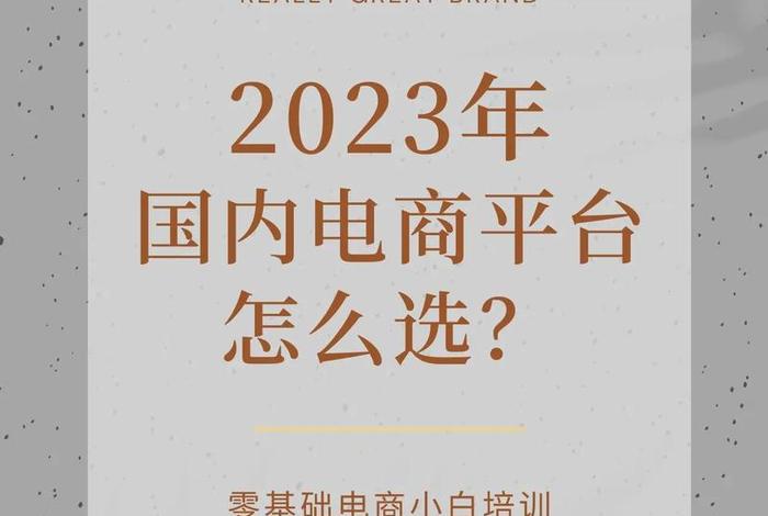 中国十大电商平台，中国十大电商平台2023