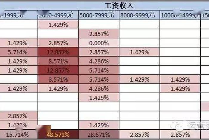 公司运营主要做什么工作；运营的工资一般是多少