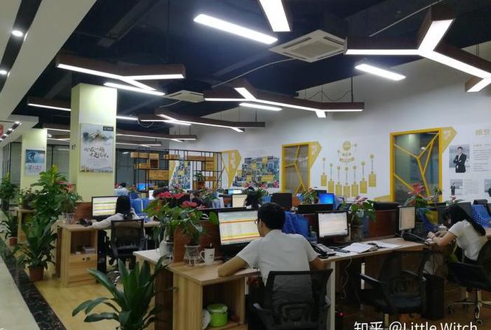 品牌运营管理有限公司怎么样，品牌运营管理有限公司怎么样知乎