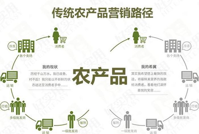 怎么做电商卖农产品、电商售卖农产品