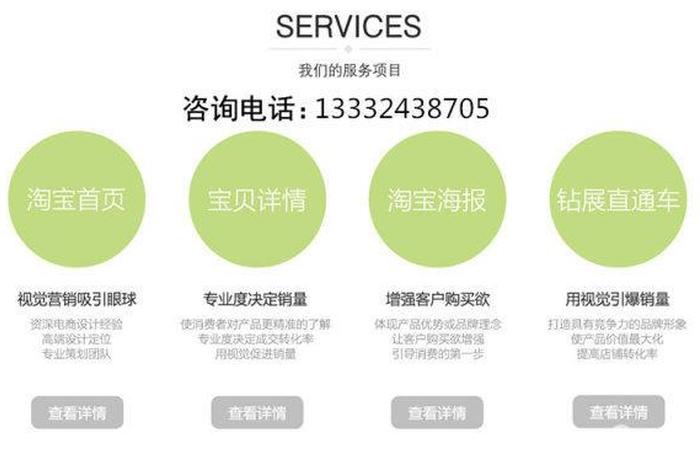 淘宝店铺装修方案设计答辩PPT怎么做（淘宝店铺装修案例分析）