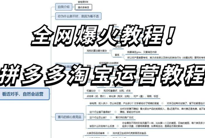 新手淘宝运营教程视频 淘宝运营操作流程有方法视频