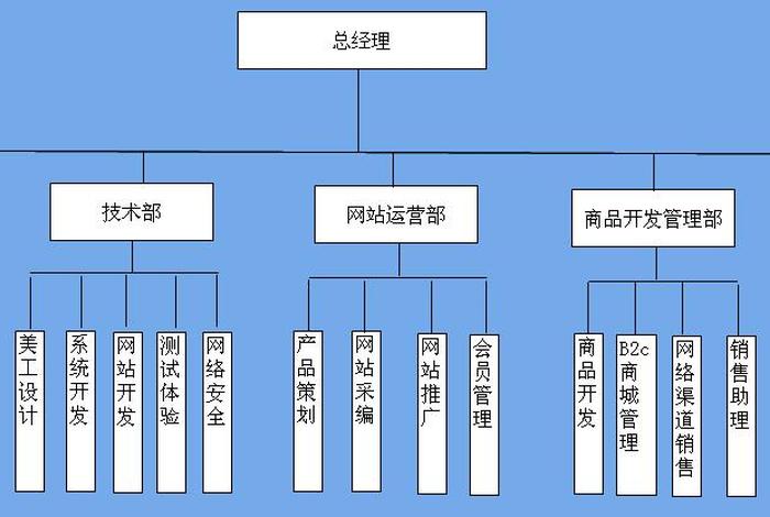 2024电商公司组织架构图最新 - 电商公司组织架构及岗位职责