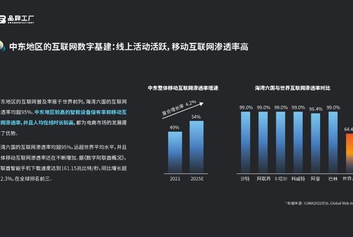 跨境电商平台的目标市场是中东客户、哪个跨境电商平台的目标市场是中东客户