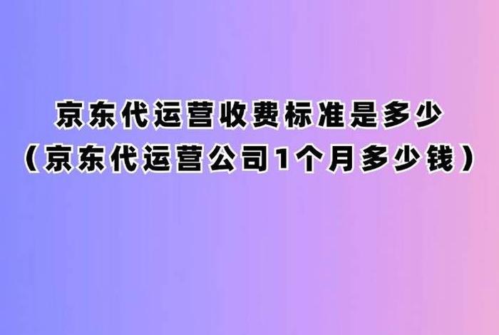 京东代运营哪个品牌好（京东代运营电商公司排行榜）