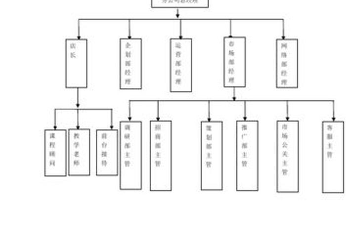 代运营公司运营部门架构（代运营公司运营部门架构怎么写）