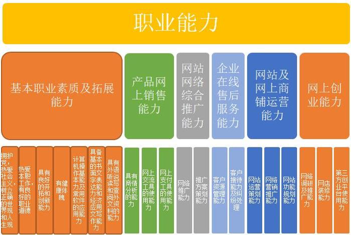 国内电商运营专业 电商运营专业要求