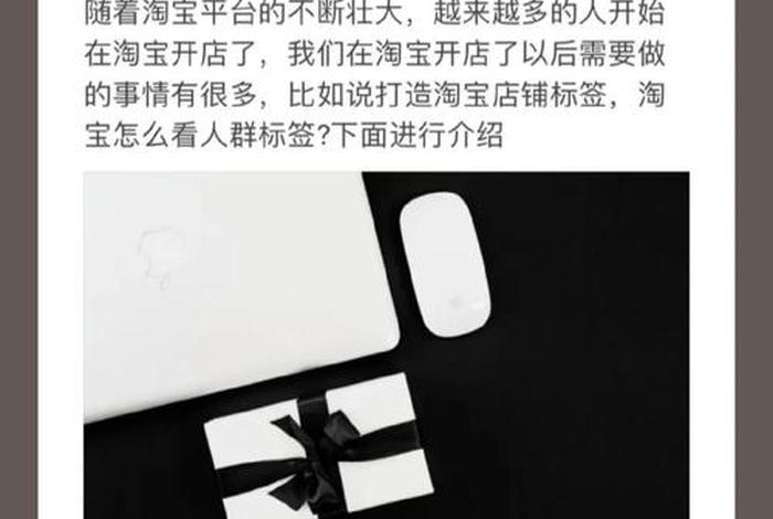 做电商怎么做；做电商怎么做人群标签