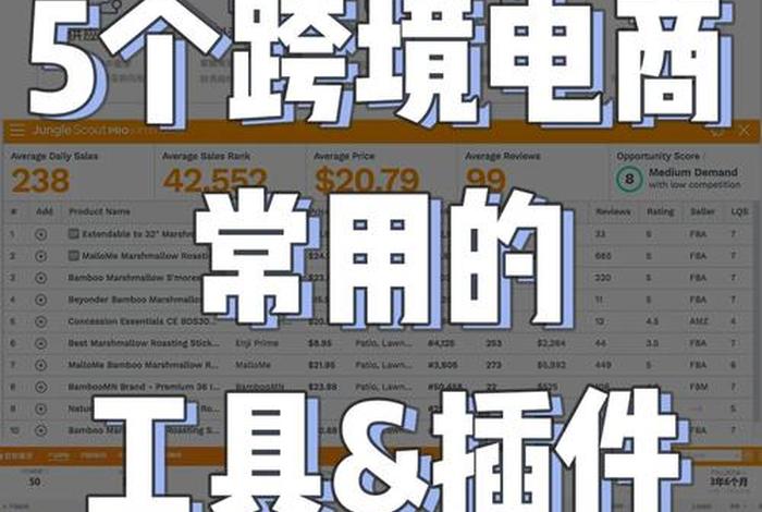 亚马逊跨境电商运营与广告实战 pdf；亚马逊跨境电商运营与广告实战 下载