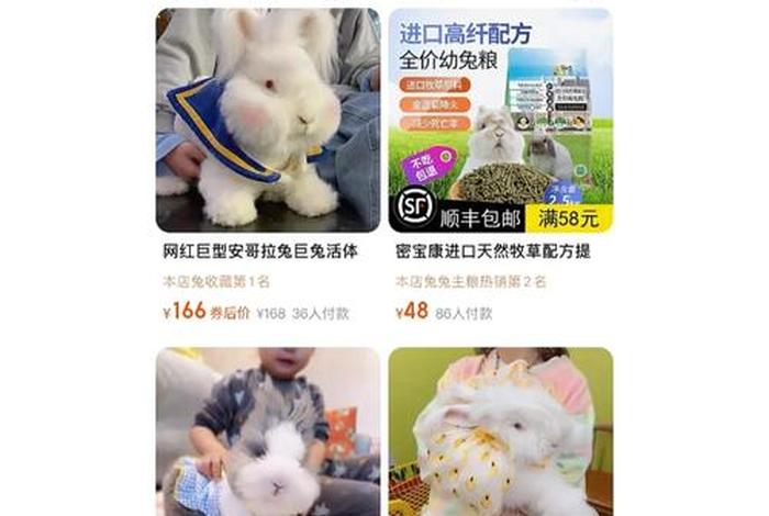 淘宝买兔子店铺靠谱吗、淘宝上兔子多少钱一只