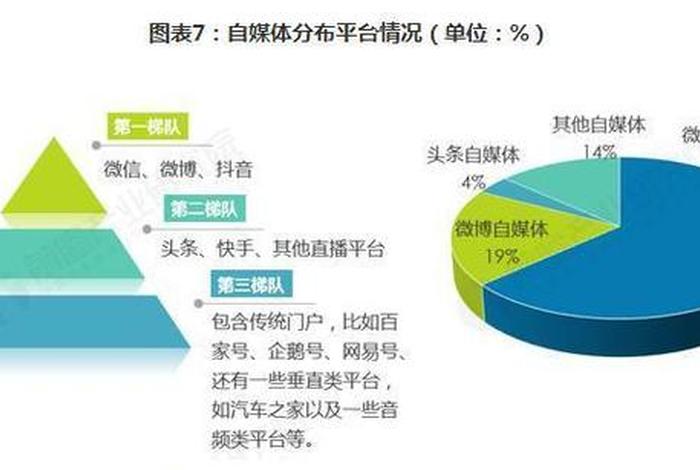 自媒体代运营市场前景数据（自媒体 代运营）